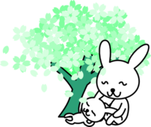 Surf Green Teal Sakura Tree Mother And Baby Image